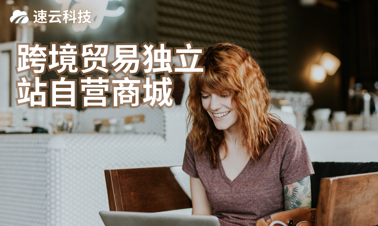 跨境貿(mào)易獨(dú)立站自營(yíng)商城